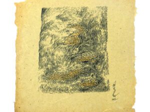 Weaving on the Landscape - 1