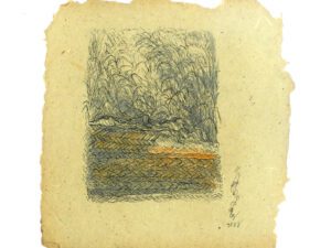 Weaving on the Landscape - 4