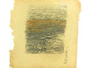 Weaving on the Landscape - 5