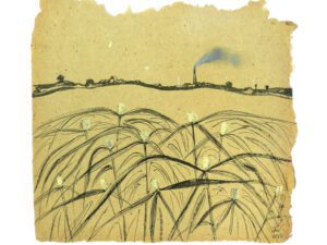 Transformed Landscape